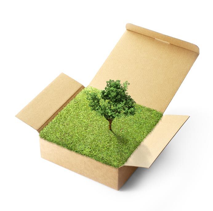 sostenibilita sustainability