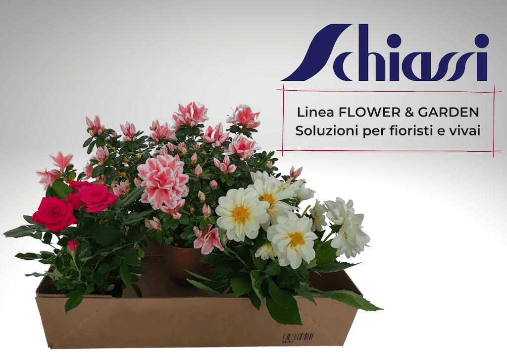 packaging fiori